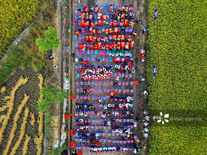 丰收节图片素材