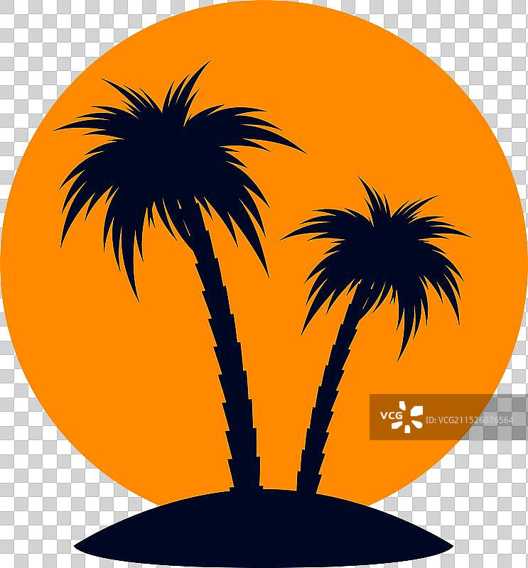 热带棕榈树图片素材