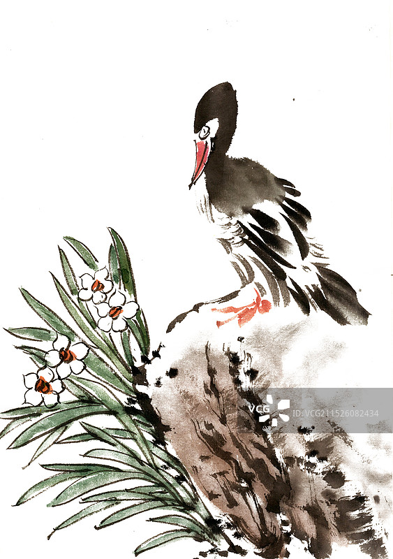 水仙花与鸭子图片素材