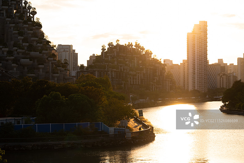 上海天安千树图片素材