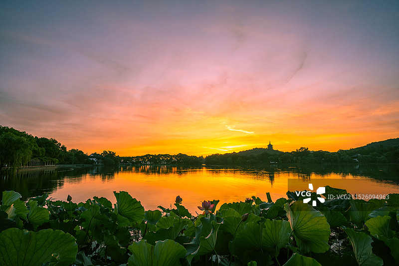杭州西湖花港观鱼日出图片素材