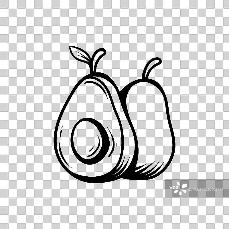 两个牛油果简笔画图片素材