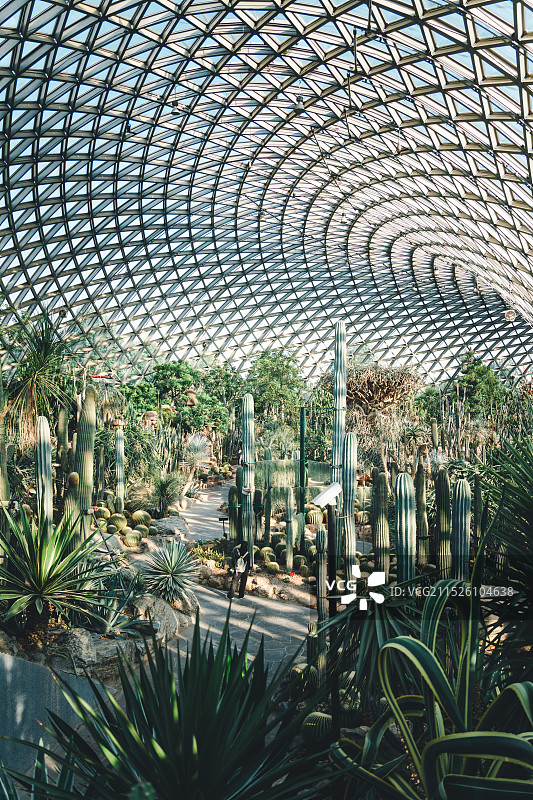 上海辰山植物园温室景观图片素材
