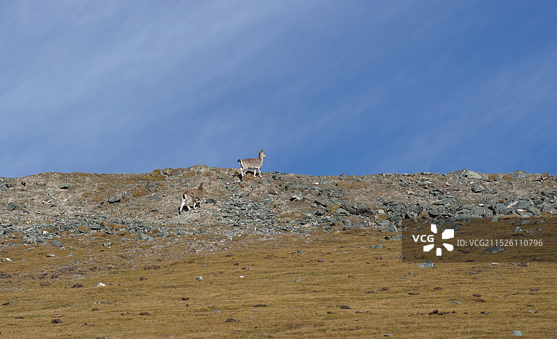 祁连山国家公园图片素材