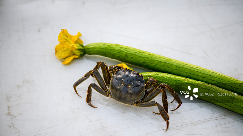 横行霸道的阳澄湖大闸蟹一组图片素材