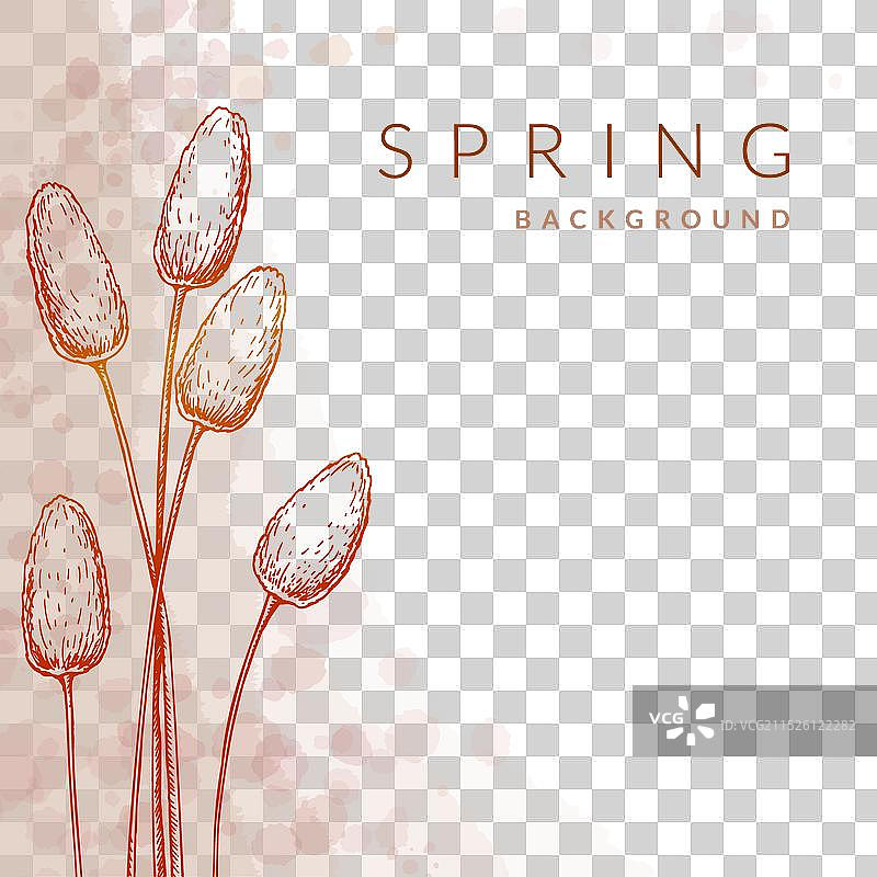 春夏花卉社交媒体方形帖子图片素材