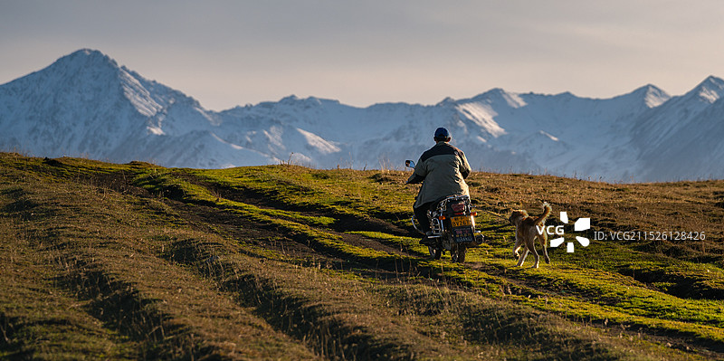 草原雪山下的牧民和牧犬图片素材