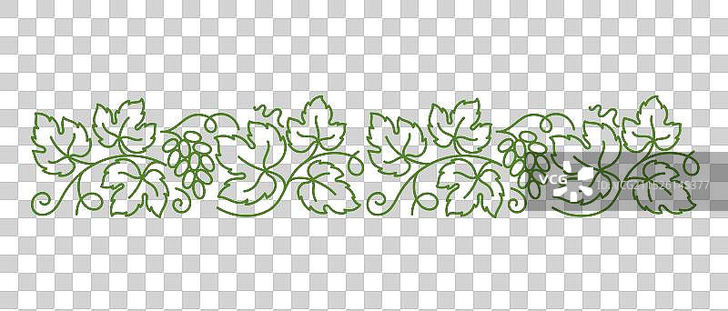 葡萄藤蔓植物花卉装饰粗线条图案图片素材