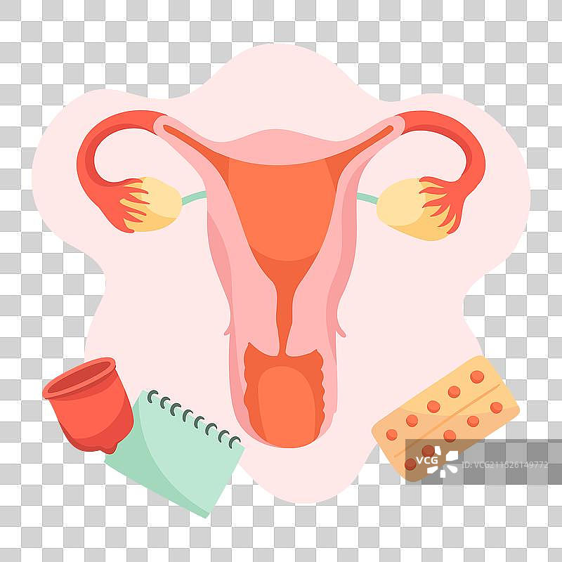 女性系统概念图片素材