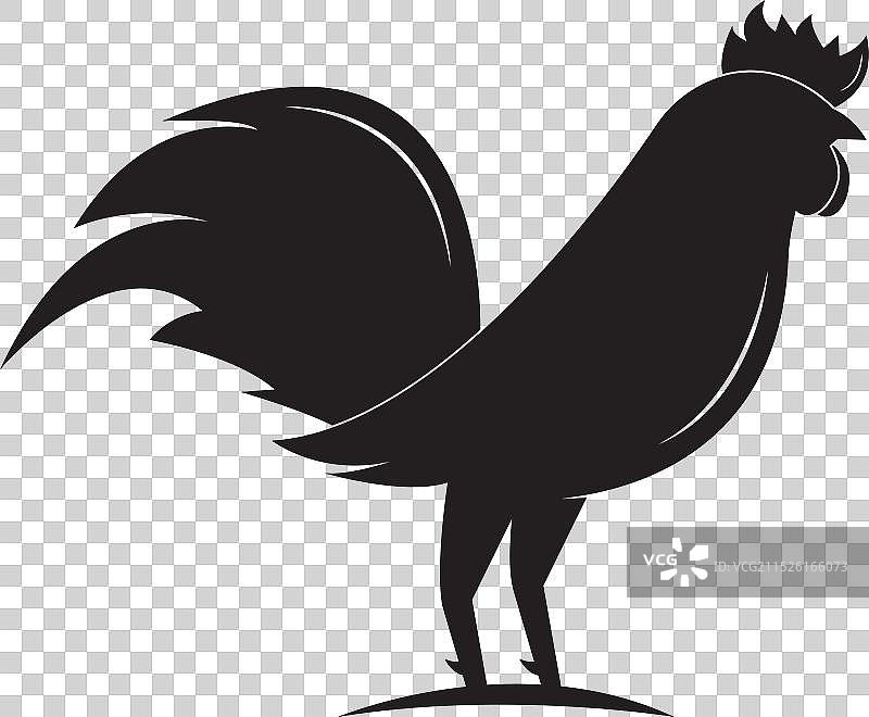 公鸡标志模板图片素材