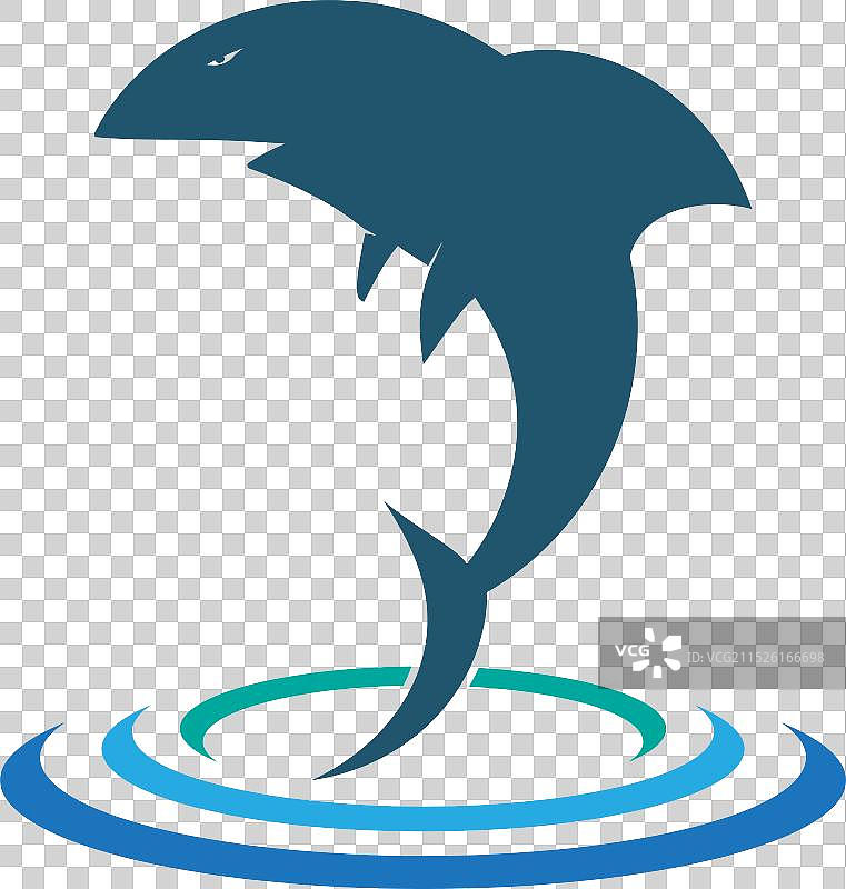 鲨鱼Logo模板图片素材