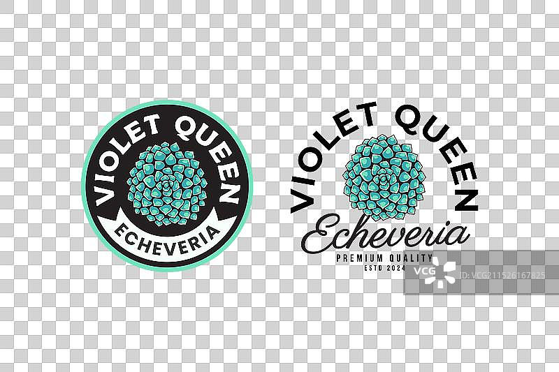 带有紫女王拟石莲花标志的多肉植物图片素材