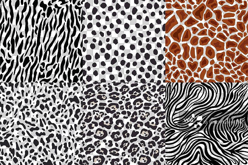 6款野生动物图案无缝图案合集图片素材