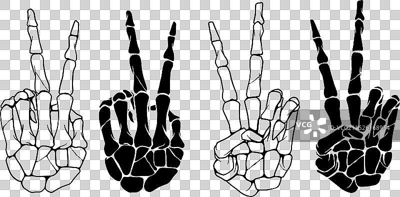 和平之手骨骼图片素材