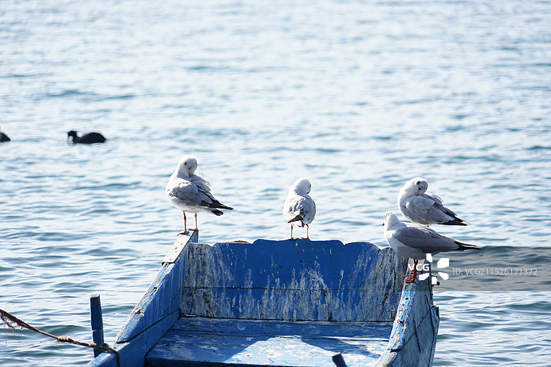 凉山州泸沽湖旅游景区图片素材
