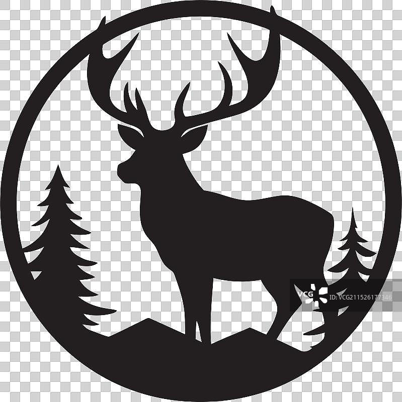 星空优雅：星光场景中的鹿图片素材