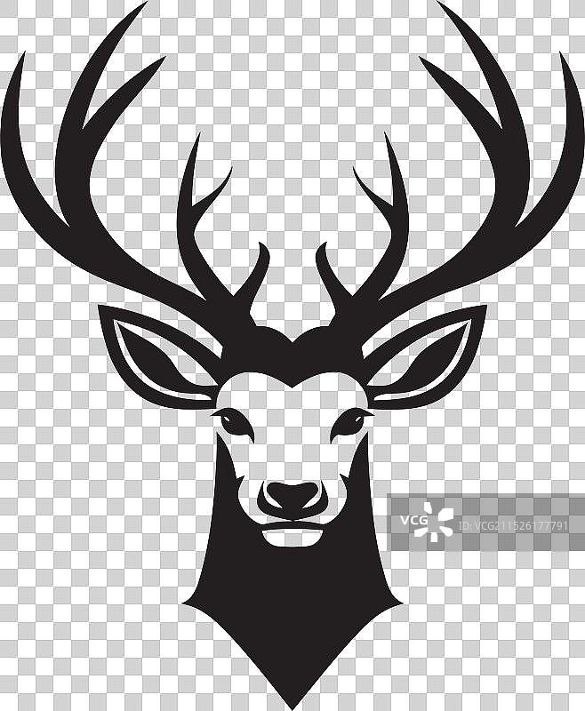 自然中的鹿与野生动物交响曲图片素材