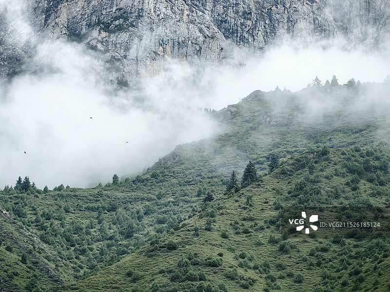 做一场狂野的梦——甘南图片素材