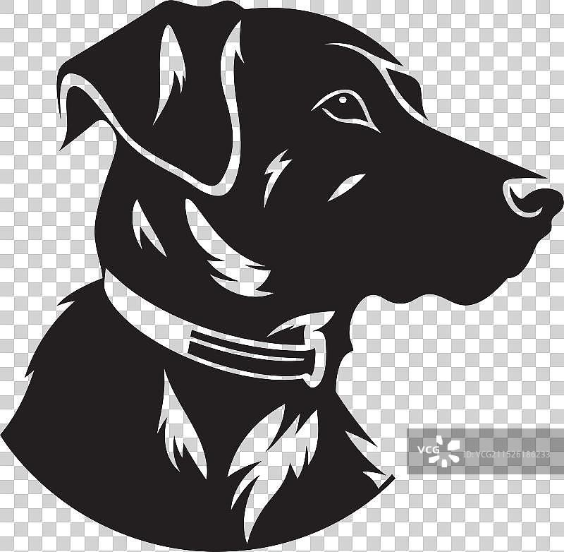 摇尾巴的狗图片素材