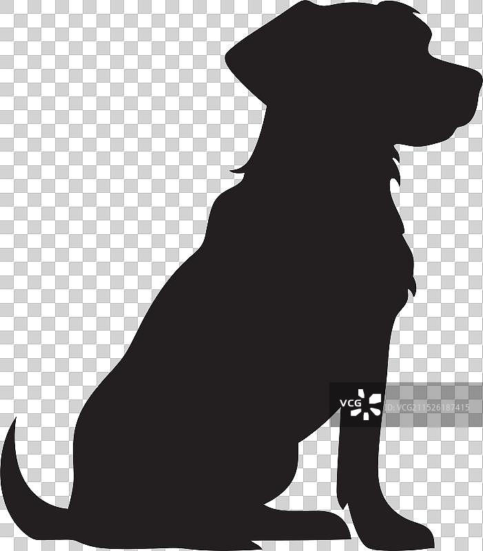 犬类优雅版图片素材