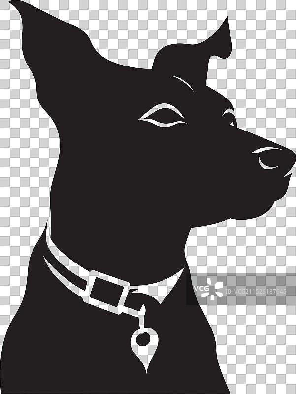 毛茸茸的朋友们：小狗特辑图片素材