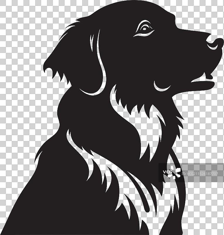 艺术的狗狗倒影图片素材