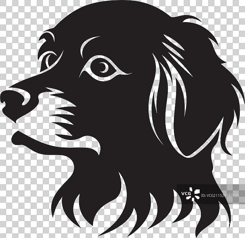 快乐的小狗图片素材