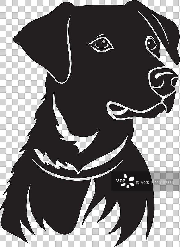 犬类饰品：异想天开的摇尾狗V图片素材