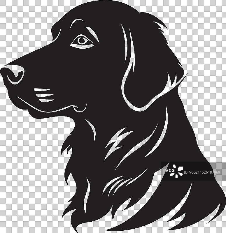 犬类王国的胡须奇想图片素材