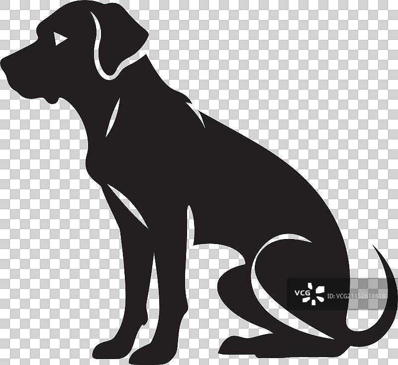 迷人的犬类伙伴小狗天堂图片素材