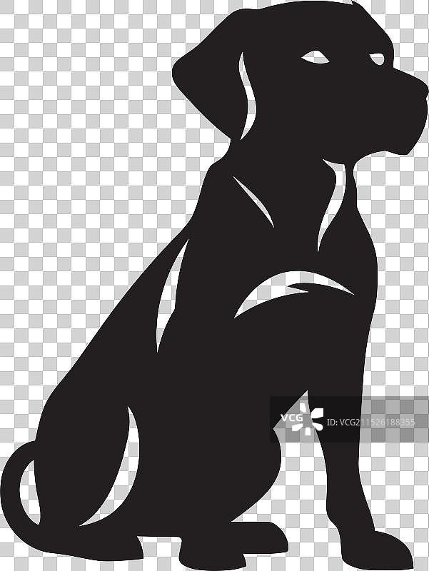 狗犬创意姿势图片素材