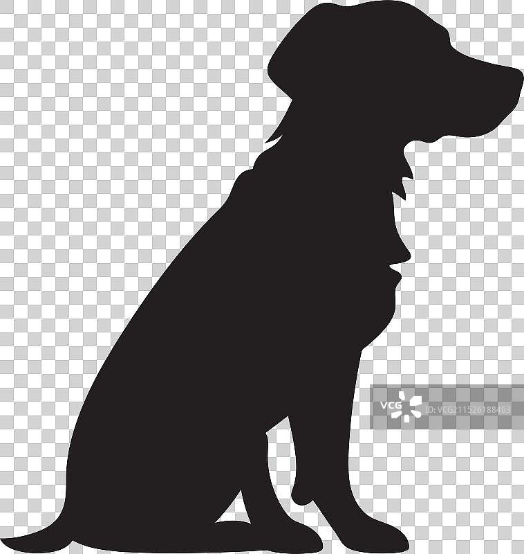 可爱的狗狗数字奇观图片素材