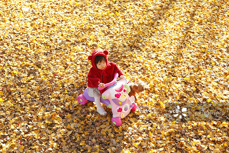 在银杏树地毯上玩耍的女孩图片素材