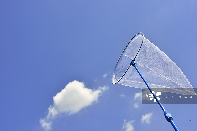 昆虫网图片素材