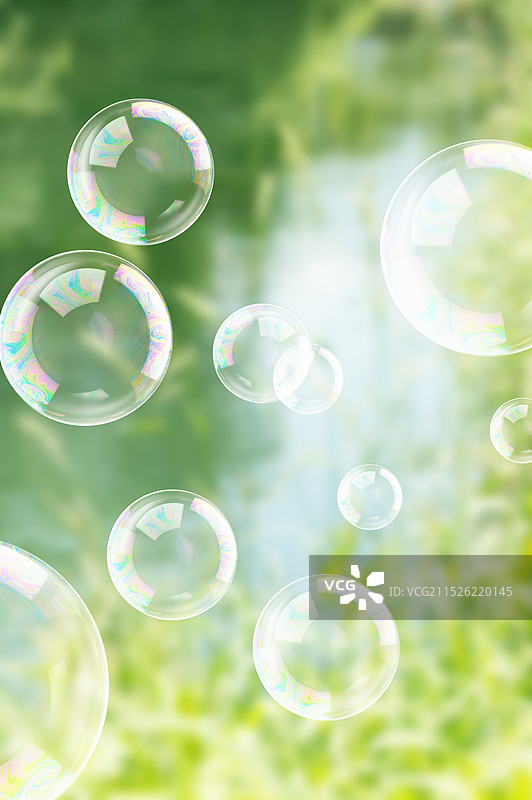 Shabobon丸子图片素材