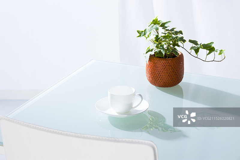 室内植物和咖啡杯图片素材