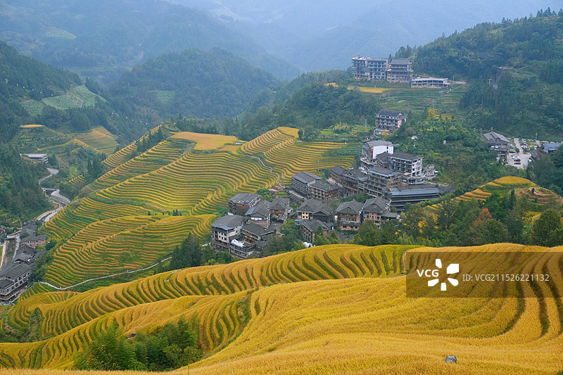 龙脊梯田图片素材