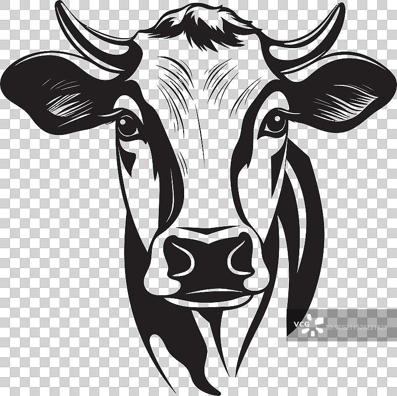 充满活力的奶牛图案图片素材