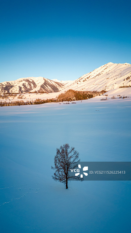 阿勒泰冬季图片素材