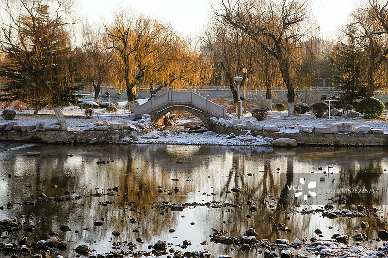 冬季湖边的桥树木图片素材