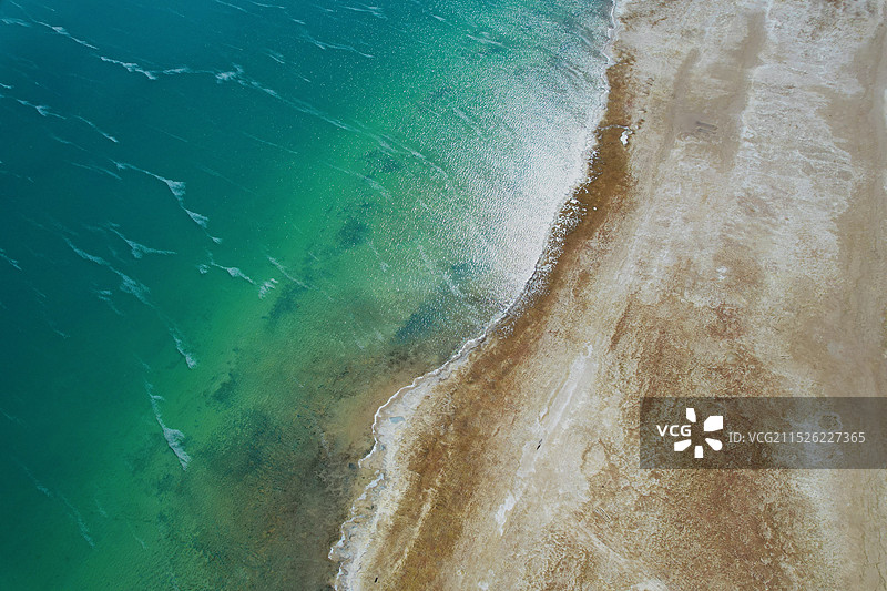 来自阿里的一抹绿图片素材