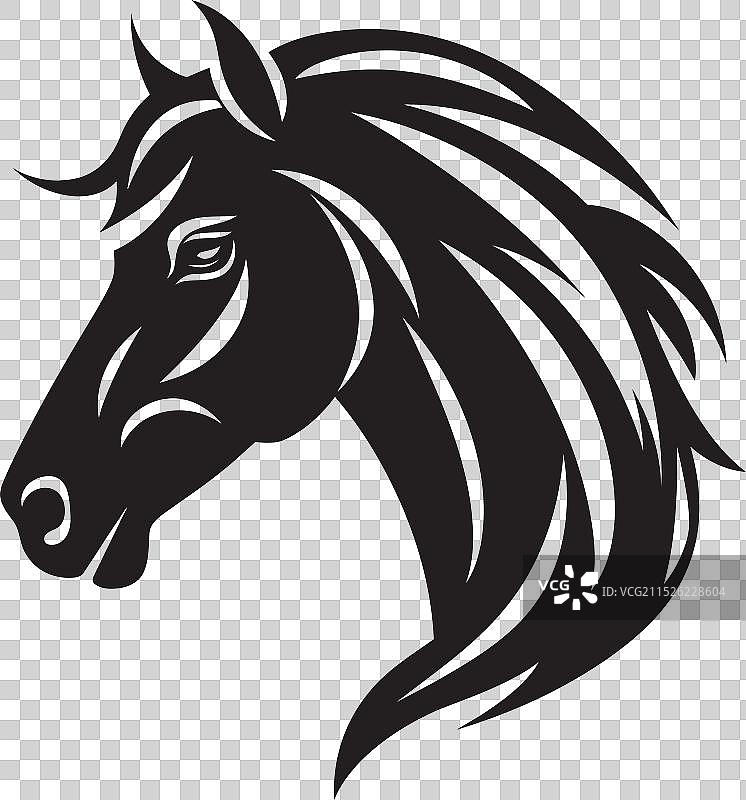 黑色骏马清扫图图片素材