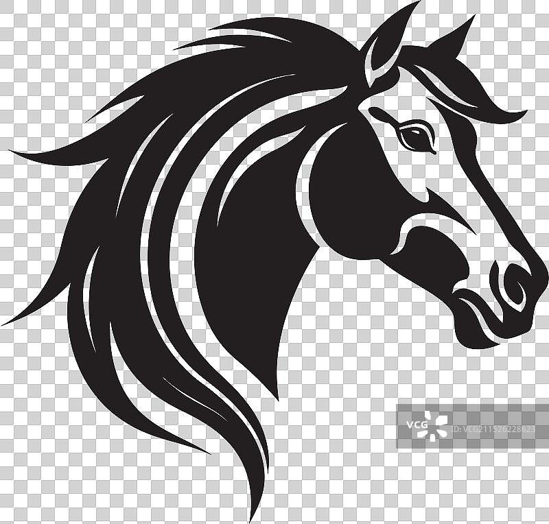 奔腾的黑马系列图片素材