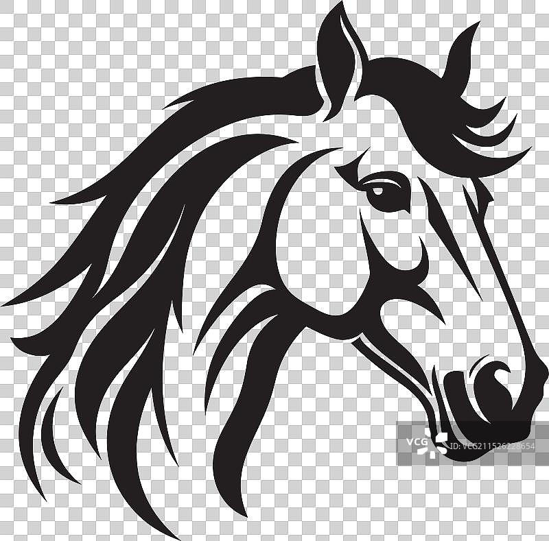 优雅的黑马艺术图片素材