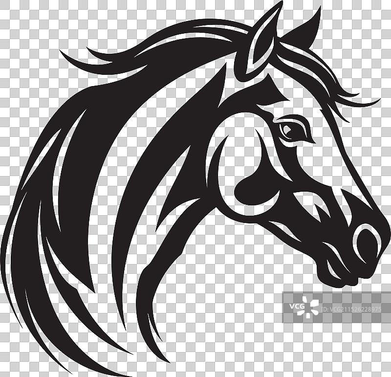 富有表现力的单色骏马杰作图片素材