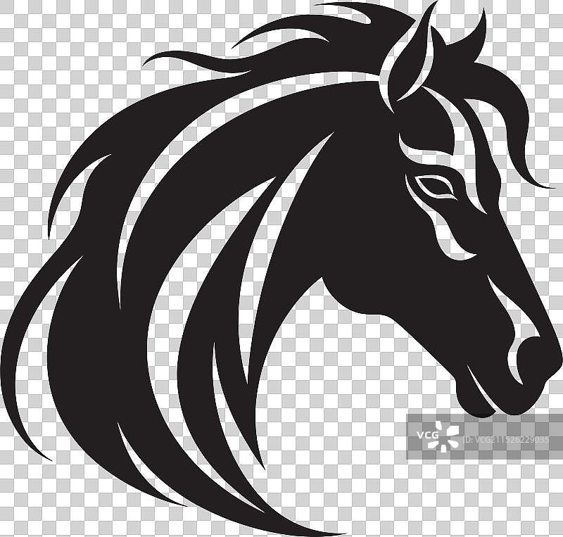 优雅马匹单色渲染艺术图片素材