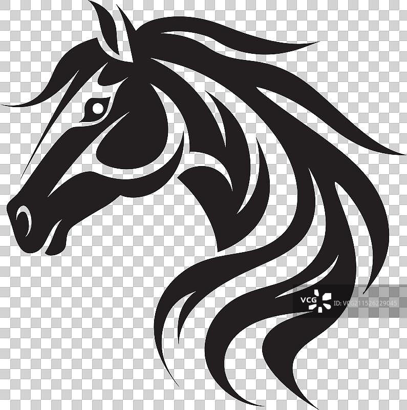 引人注目的单色骏马奔腾印象图片素材