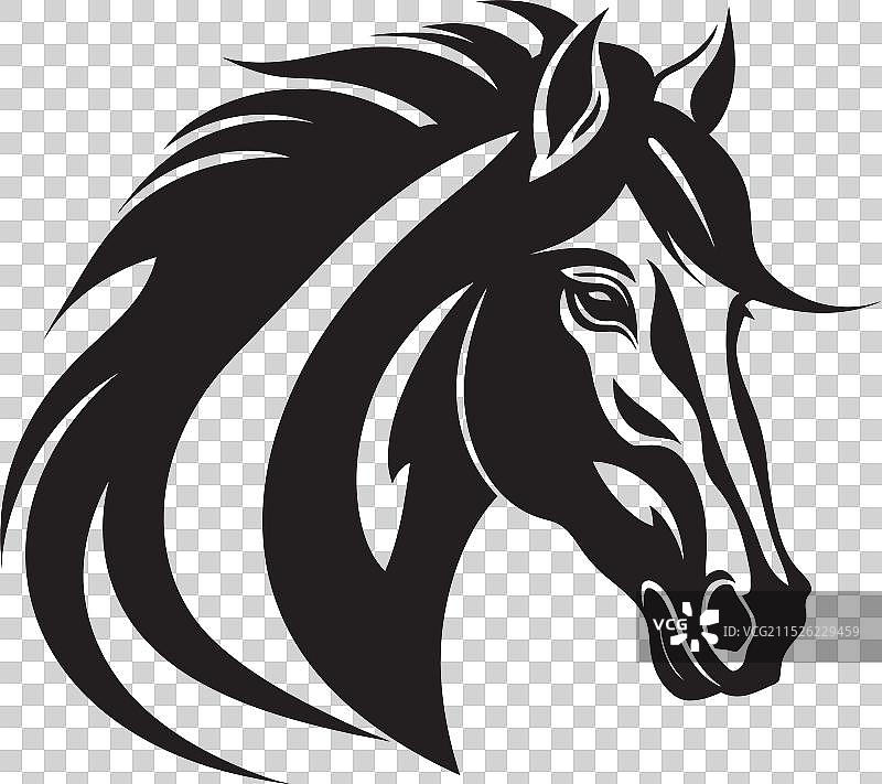 黑色艺术风格的动感马术优雅图片素材