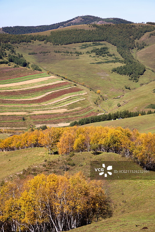 秋日童话山林图片素材