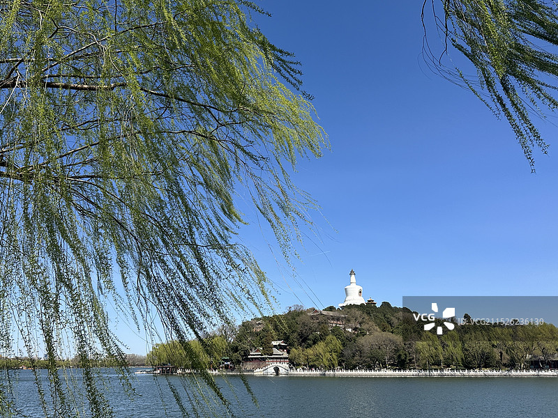 北京北海公园白塔杨柳阳光和煦图片素材